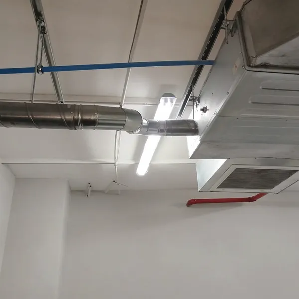 GutSmart image synergy-dynamix-_0001_WhatsApp Image 2025-03-29 at 22