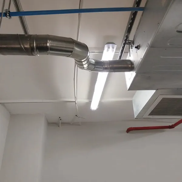 GutSmart image synergy-dynamix-_0002_WhatsApp Image 2025-03-29 at 22