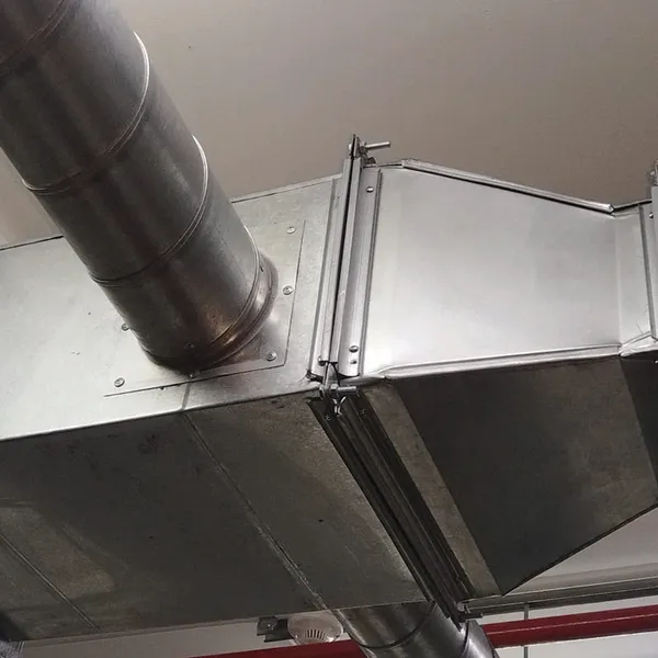 GutSmart image synergy-dynamix-_0004_WhatsApp Image 2025-03-29 at 22