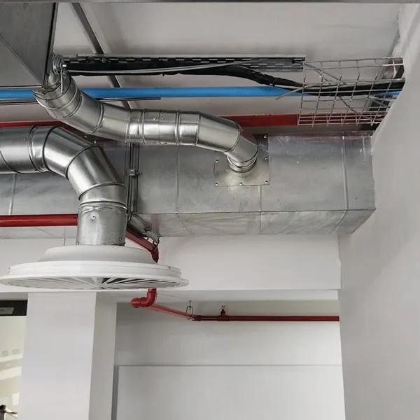 GutSmart image synergy-dynamix-_0006_WhatsApp Image 2025-03-29 at 22