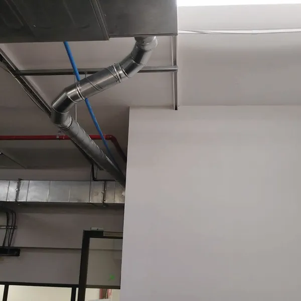 GutSmart image synergy-dynamix-_0008_WhatsApp Image 2025-03-29 at 22