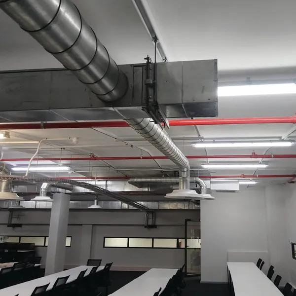 GutSmart image synergy-dynamix-_0009_WhatsApp Image 2025-03-29 at 22