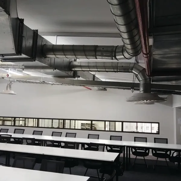 GutSmart image synergy-dynamix-_0010_WhatsApp Image 2025-03-29 at 22