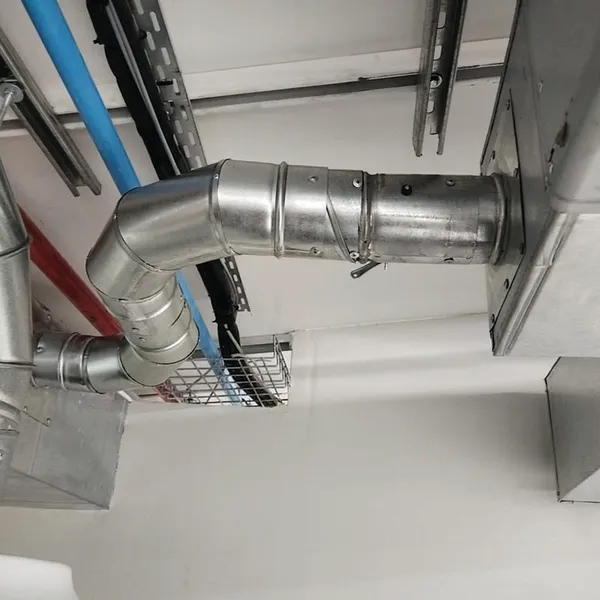 GutSmart image synergy-dynamix-_0012_WhatsApp Image 2025-03-29 at 22