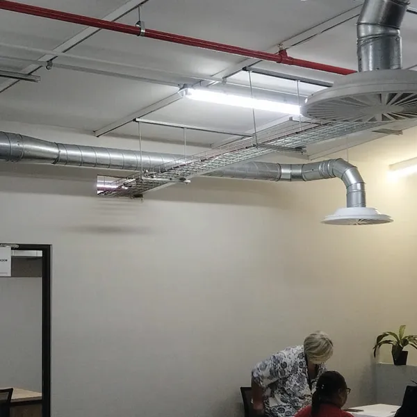 GutSmart image synergy-dynamix-_0013_WhatsApp Image 2025-03-29 at 22