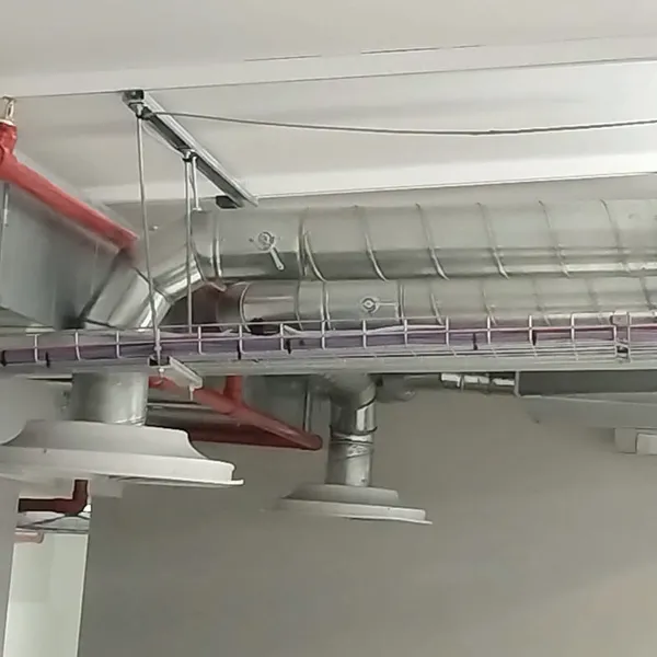 GutSmart image synergy-dynamix-_0014_WhatsApp Image 2025-03-29 at 22