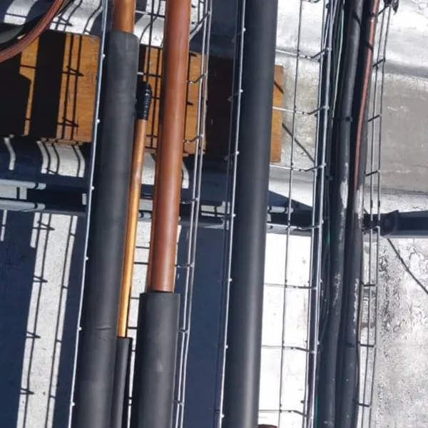 GutSmart image synergy-dynamix-_0026_WhatsApp Image 2025-03-29 at 22