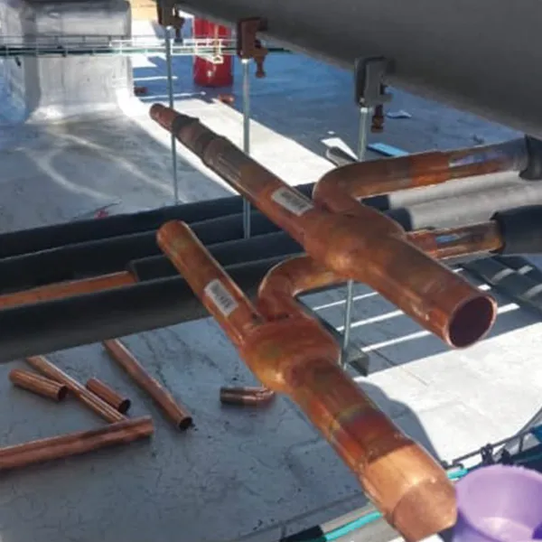 GutSmart image synergy-dynamix-_0027_WhatsApp Image 2025-03-29 at 22