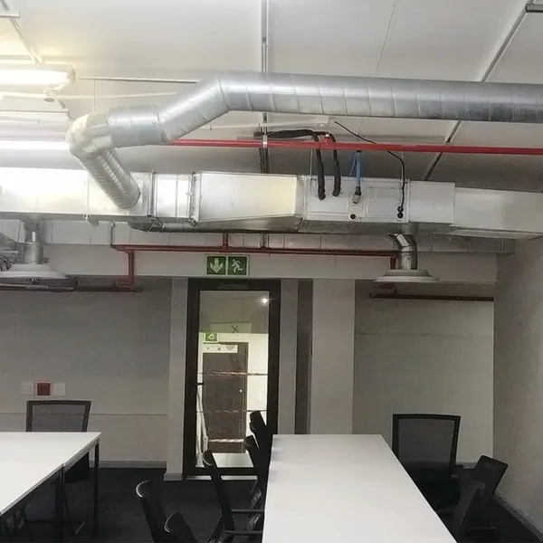 GutSmart image synergy-dynamix-_0031_WhatsApp Image 2025-03-29 at 22