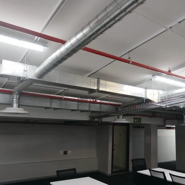 GutSmart image synergy-dynamix-_0032_WhatsApp Image 2025-03-29 at 22