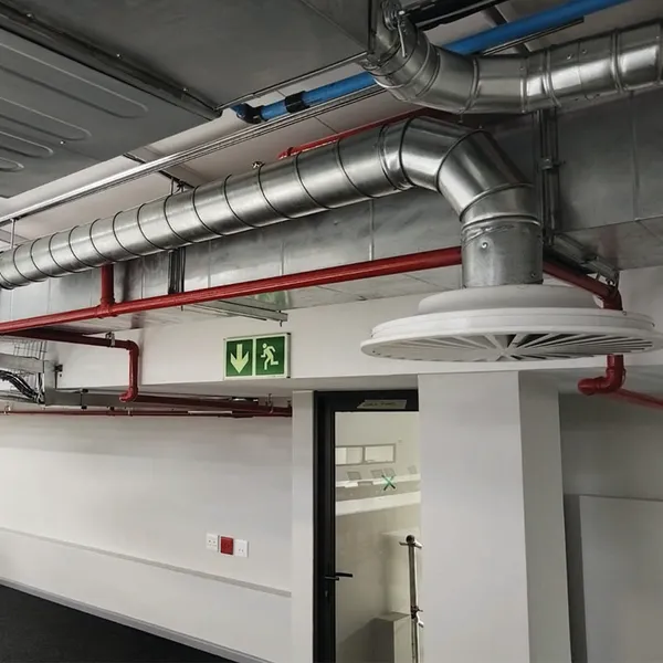 GutSmart image synergy-dynamix-_0035_WhatsApp Image 2025-03-29 at 22