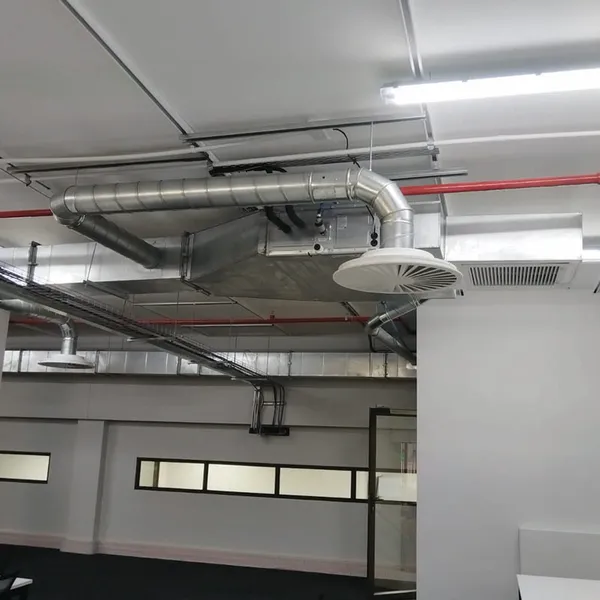 GutSmart image synergy-dynamix-_0036_WhatsApp Image 2025-03-29 at 22